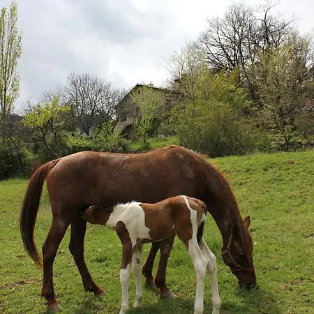 Kır Evi Ca L'agustinet